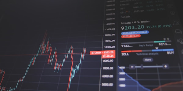 Risk-Adjusted Returns